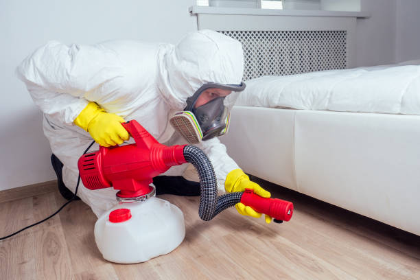 Best Bed Bug Extermination  in Versailles, IN