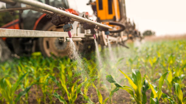 Best Mosquito Control Services  in Versailles, IN