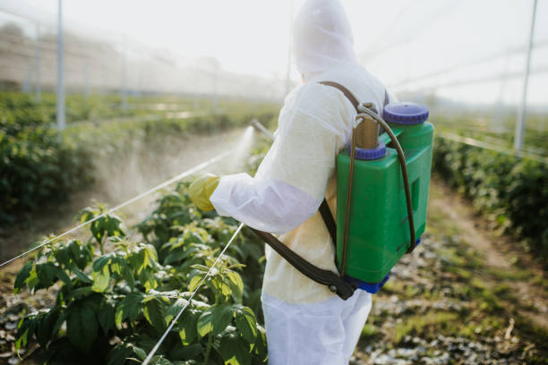 Best Pest Control Near Me  in Versailles, IN